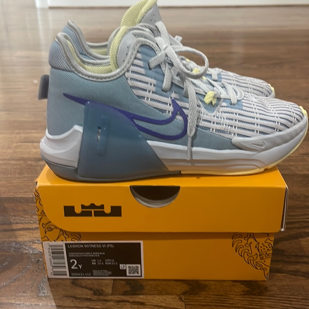 Nike 2y LeBron Witness VI purple/blue basketball
